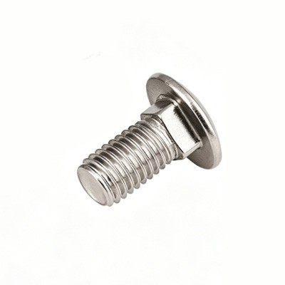 Boulons à tête coupelle en acier inoxydable
